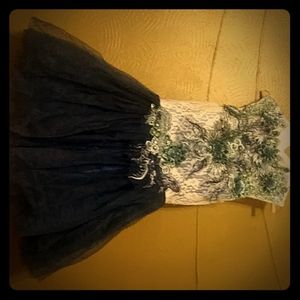 Blue and white lace tulle dress.